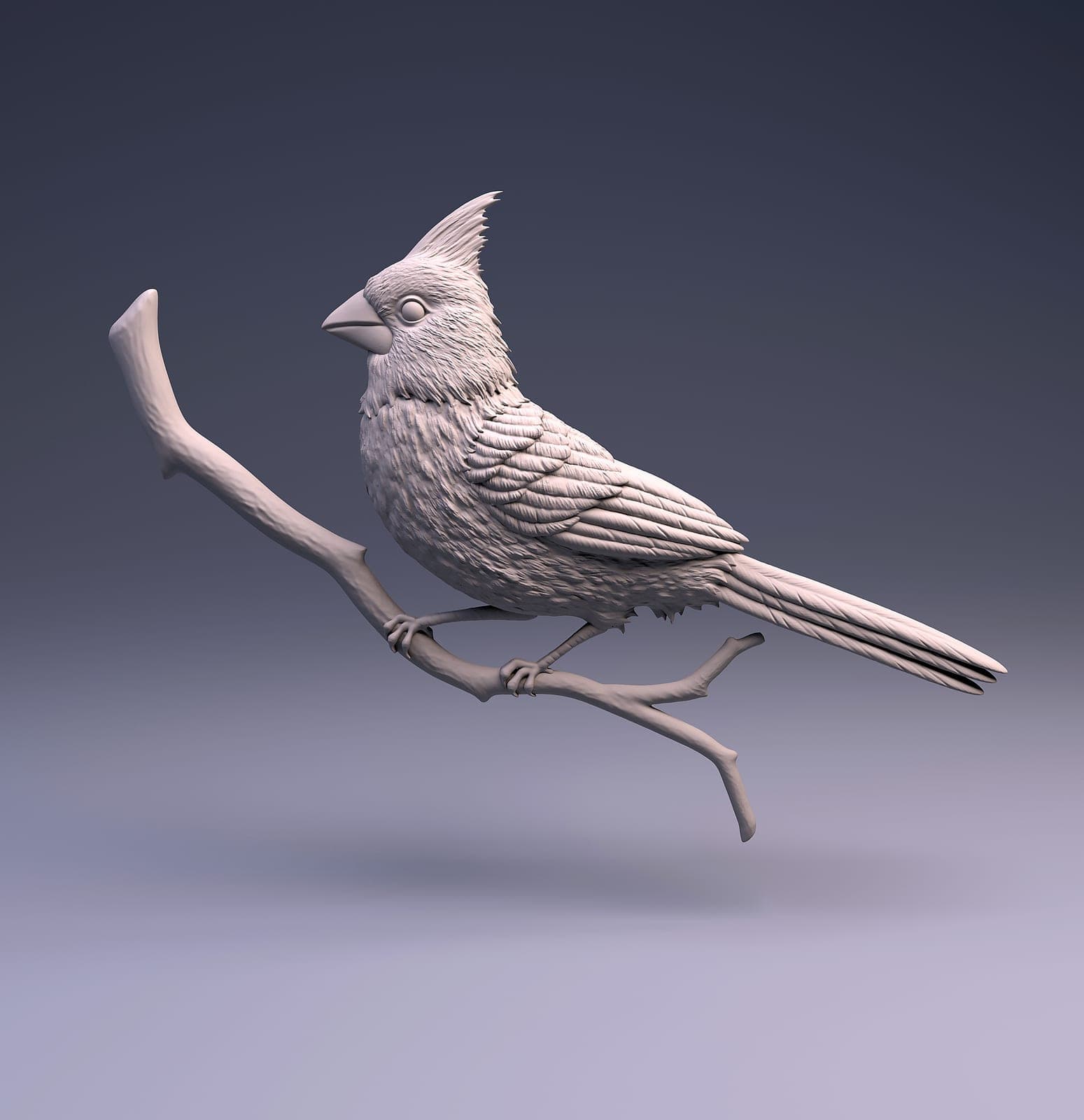Cardinal 1